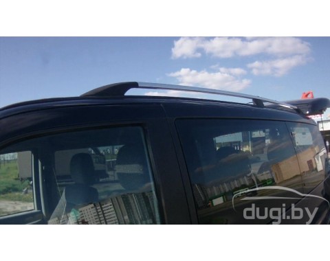 Рейлинги ''ABS'' с пластиковыми окончаниями для Vito W638.